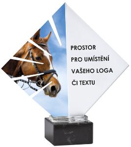 Koòská trofej - ACL0015NM20