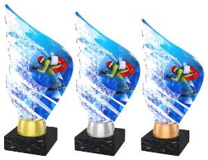 Sjezdové lyžování trofej - AKEA0001M21