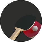 Emblém ping pong - 30